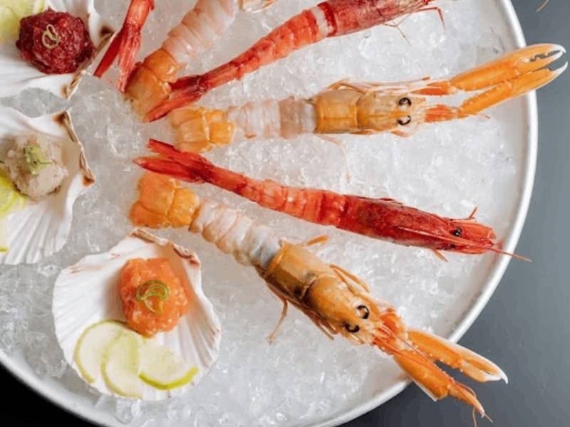 Crudo di mare con scampi su ghiaccio